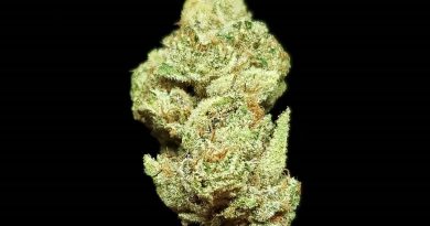gelonade by connected california strain review by thefirescale 2