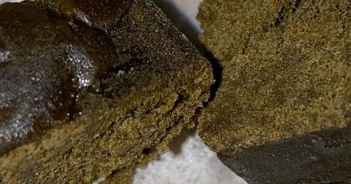 ggxog hash by anonymuz farmz concentrate review by jean_roulin_420