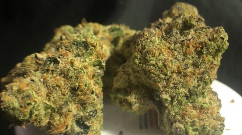 girl scout cookies by truflower strain review by shanchyrls