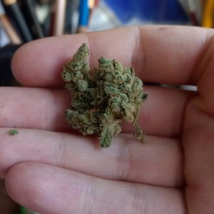 gorilla glue by magic hour cannabis strain review by pdxstoneman 2