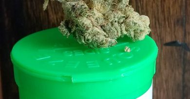 gorilla glue by magic hour cannabis strain review by pdxstoneman