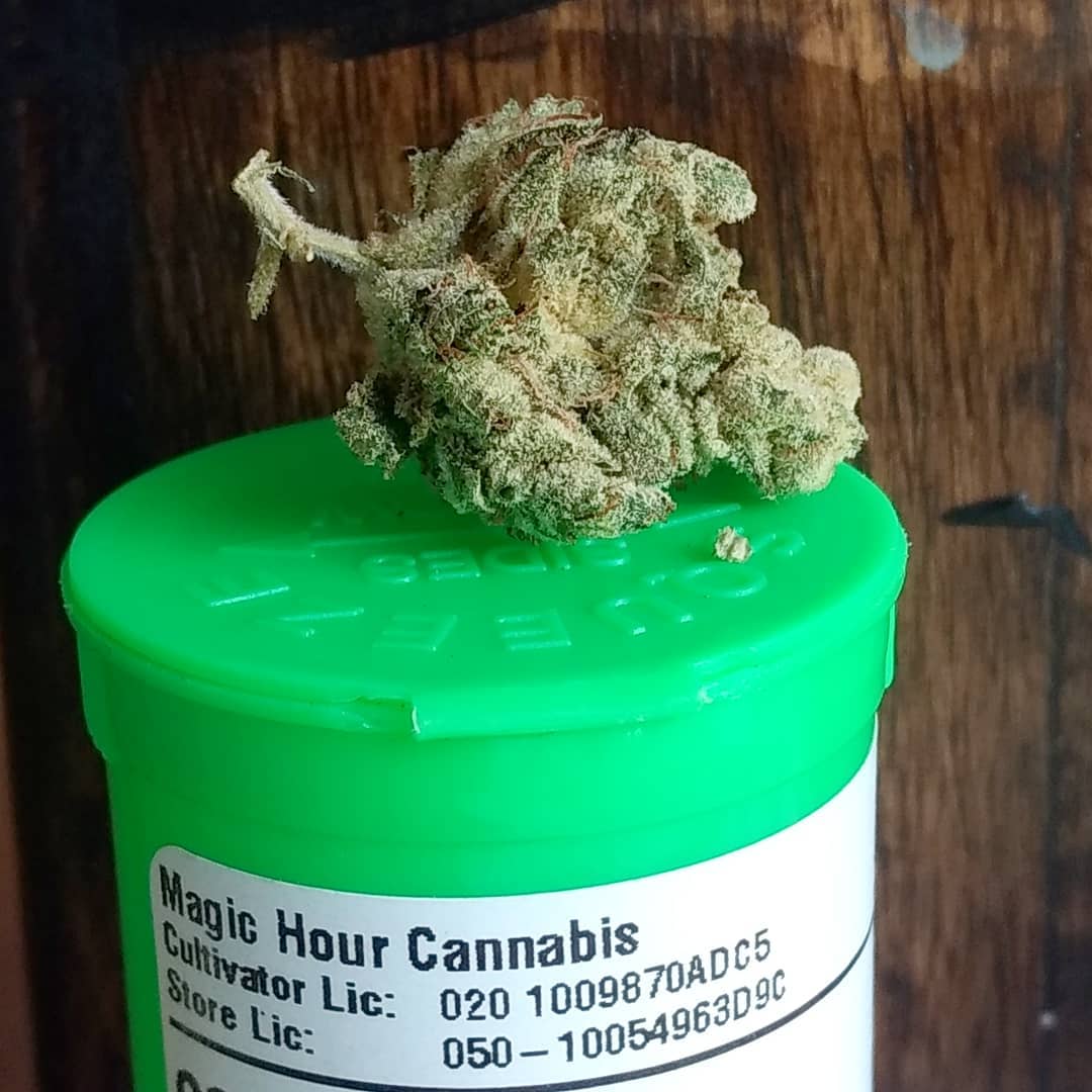 gorilla glue by magic hour cannabis strain review by pdxstoneman