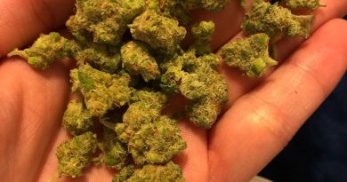 grape lime ricky by firelands scientific strain review by greenbuckeyereviews 3
