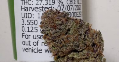 grape pie by surfr select strain review by pdxstoneman 2