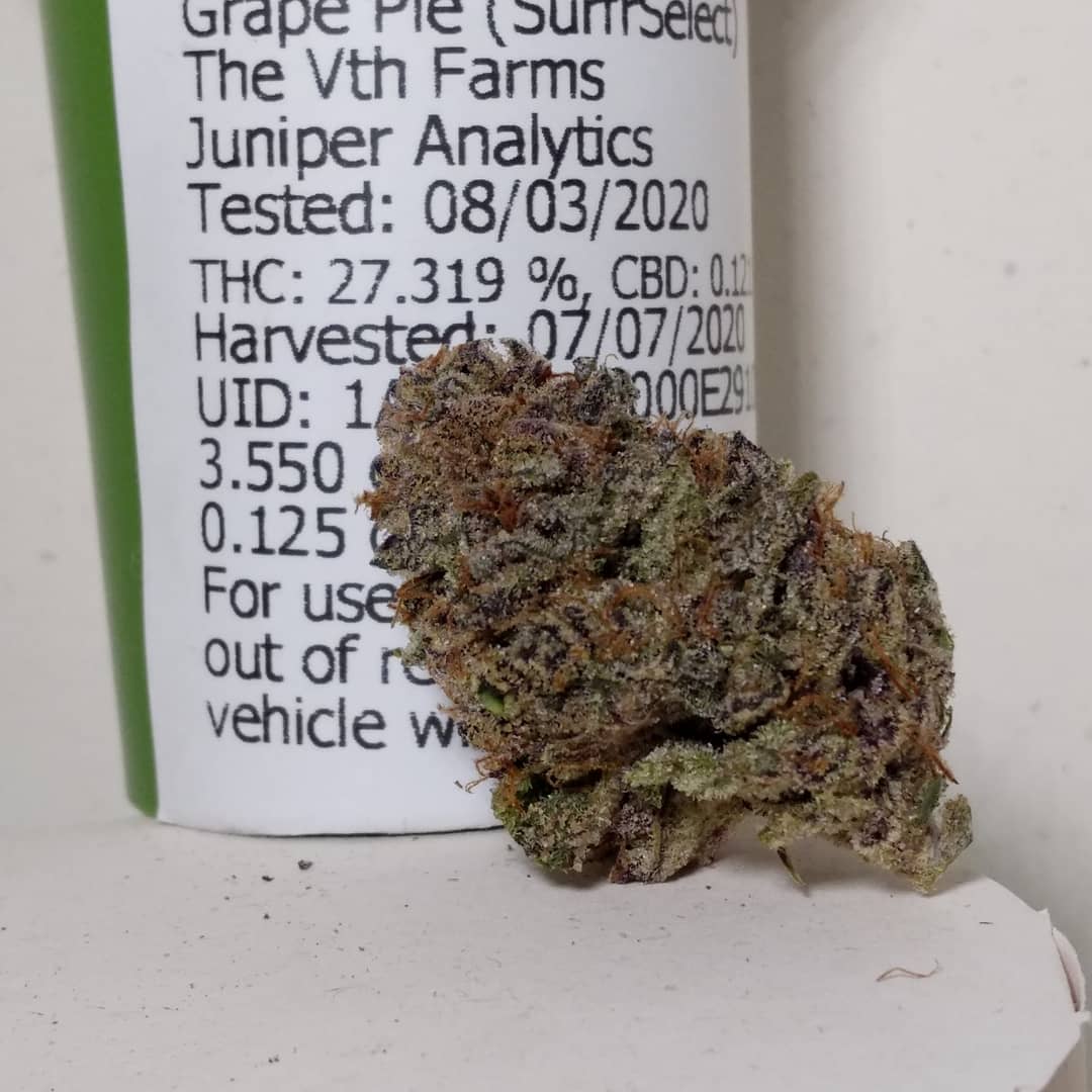 grape pie by surfr select strain review by pdxstoneman 2