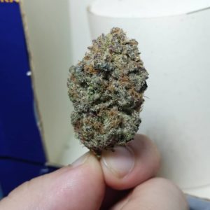 grape pie by surfr select strain review by pdxstoneman