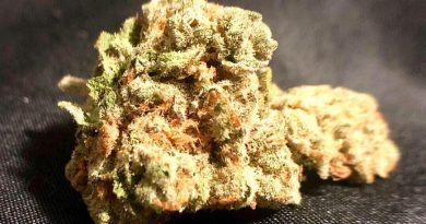 green crack by truflower strain review by shanchyrls