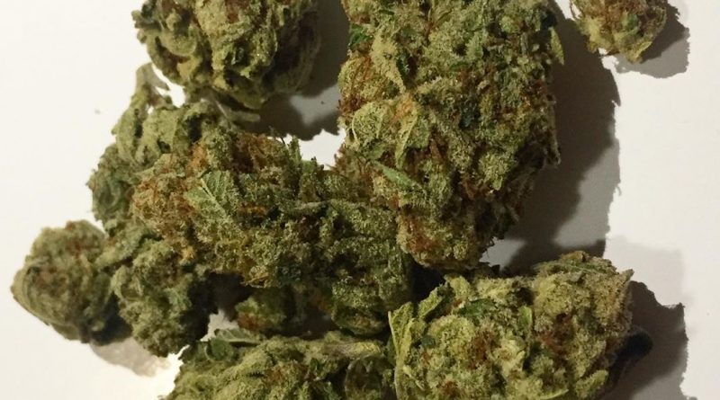 Strain Review: Insane Punch OG from Dr. Greenthumbs - The Highest Critic