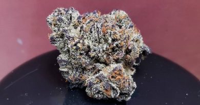 italian ice by 5 points la strain review by thefirescale 3