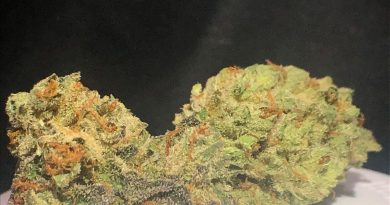 la confidential by truflower strain review by shanchyrls