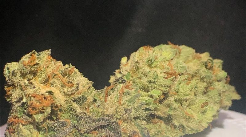 la confidential by truflower strain review by shanchyrls