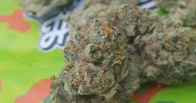 lemon mints by your highness strain review by dcent_treeviews 2