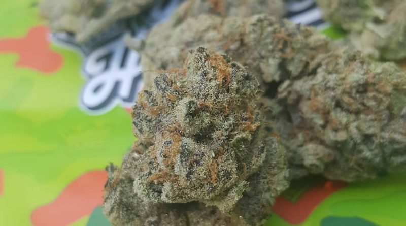 lemon mints by your highness strain review by dcent_treeviews 2