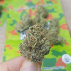 lemon mints by your highness strain review by dcent_treeviews