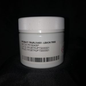 lemon tree by truflower strain review by shanchyrls 2