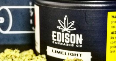 limelight by edison cannabis co. strain review by cannasteph