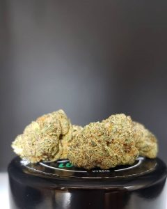 lucky #7 by 3brosgrow strain review by thefirescale 3