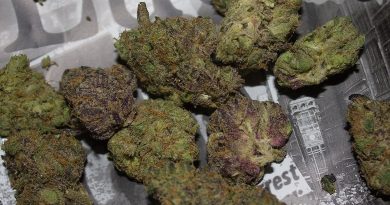 lucky by backpack boyz strain review by bigwhiteash