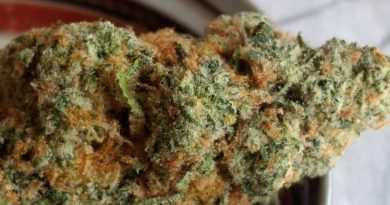 m4 by big beard farms strain review by pdxstoneman 2