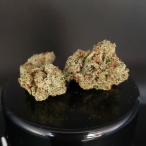 malibu fire 91 by wicked gardens strain review by thefirescale 3