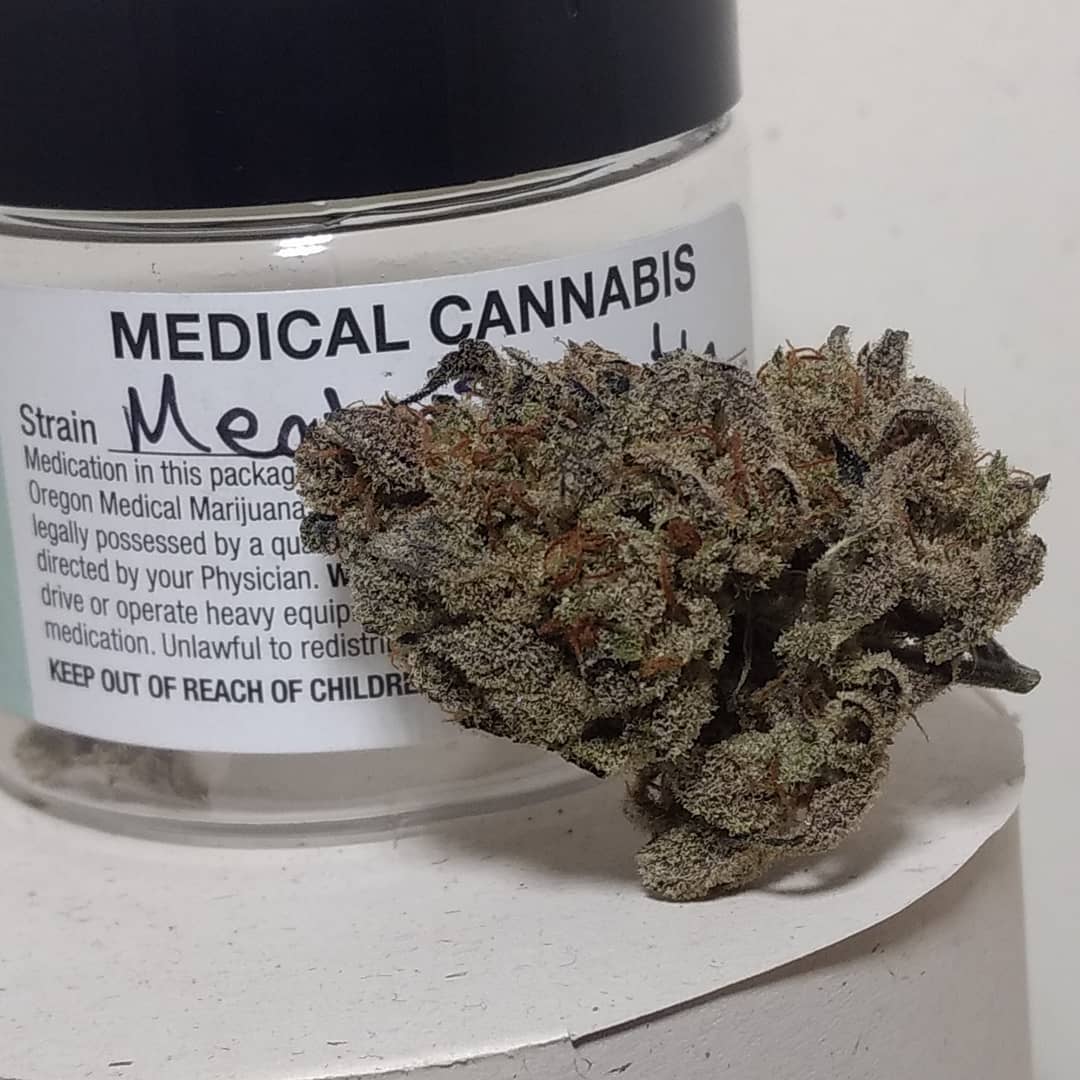 Strain Review Meat Breath by Old World Organics The Highest Critic