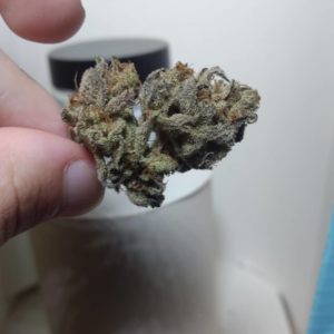 meat breath by old world organics strain review by pdxstoneman