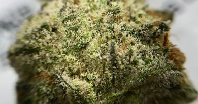member berry by truflower strain review by shanchyrls 2