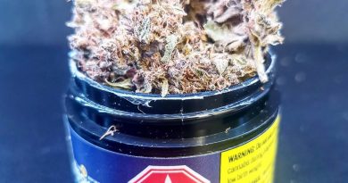 moresby by broken coast strain review by cannasteph