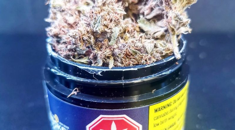 moresby by broken coast strain review by cannasteph