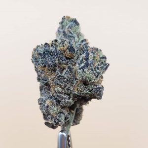 mr. sandman by connected cannabis co strain review by thefirescale 2