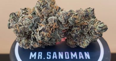 mr. sandman by connected cannabis co strain review by thefirescale 3