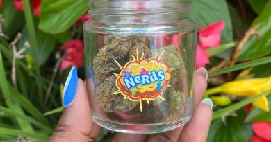 nerds by oregon microwgrowers guild strain review by upinsmokesession 2
