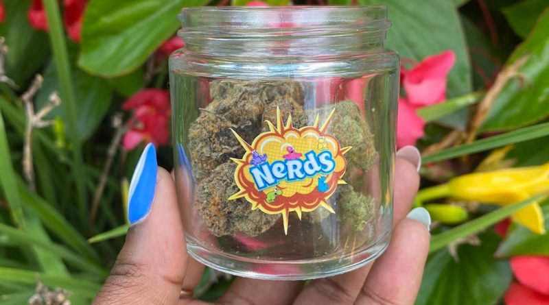 nerds by oregon microwgrowers guild strain review by upinsmokesession 2