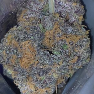 nump's grapes by lyfted farms strain review by trunorcal420 3