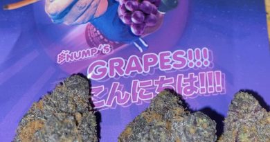 nump's grapes by lyfted farms strain review by trunorcal420 4