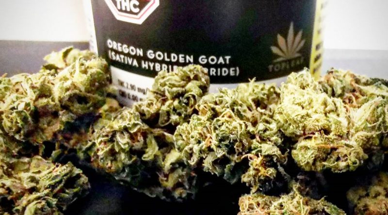 oregon golden goat by top leaf strain review by cannasteph