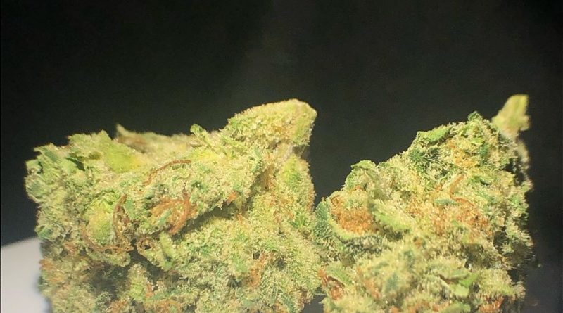 oregon lemons by truflower strain review by shanchyrls