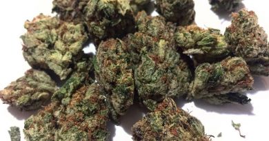 peanut butter breath by dubz garden strain review by fullspectrumconnoisseur 3