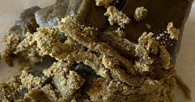 peanut butter breath hash by hashwarrior concentrate review by jean_roulin_420