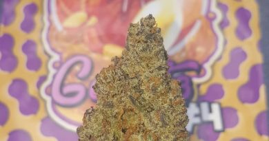 peanut butter gelato #4 by lokey farms strain review by dcent_treeviews 2