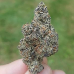 peanut butter gelato #4 by lokey farms strain review by dcent_treeviews