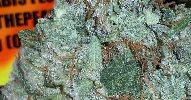 people'z champ by the peakz company strain review by trunorcal420 3