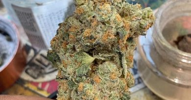 phantom cookies from ca collective strain review by sjweedreview