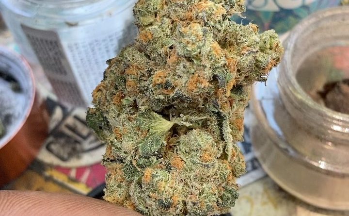 phantom cookies from ca collective strain review by sjweedreview