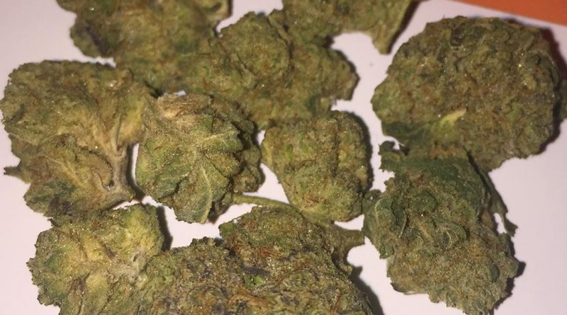 pineapple express by gage cannabis strain review by fullspectrumconnoisseur 2