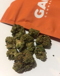 pineapple express by gage cannabis strain review by fullspectrumconnoisseur 3