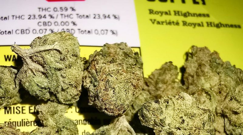 royal highness by good supply strain review by cannasteph