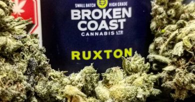 ruxton by broken coast cannabis strain review by cannasteph