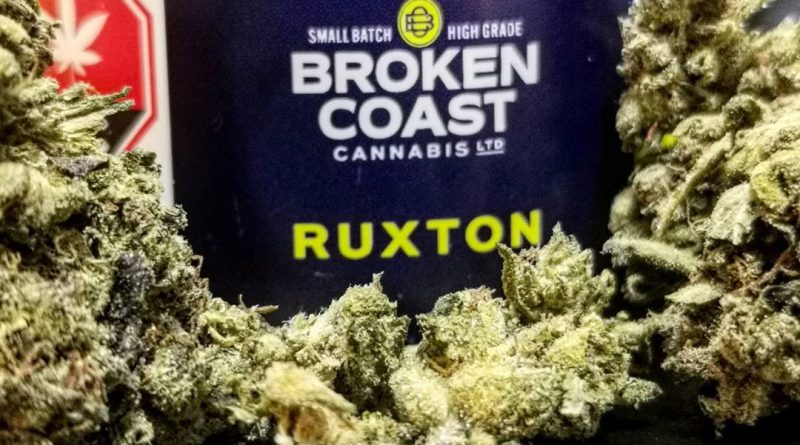 ruxton by broken coast cannabis strain review by cannasteph