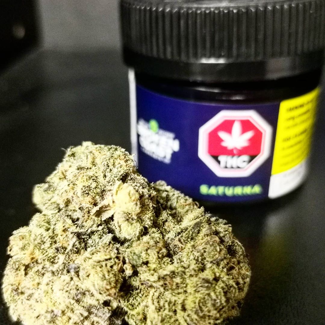 saturna aka muskmelon og by broken coast strain review by cannasteph